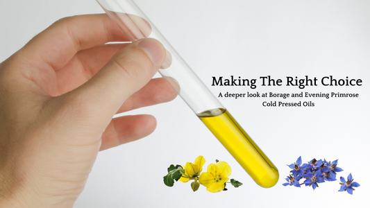Let’s take a deeper look at Evening Primrose and Borage