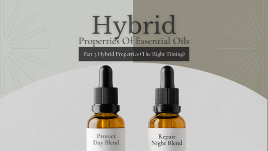 Hybrid Properties of Essential Oils Part 3 (The Right Timing with Hybrid Essential Oils)