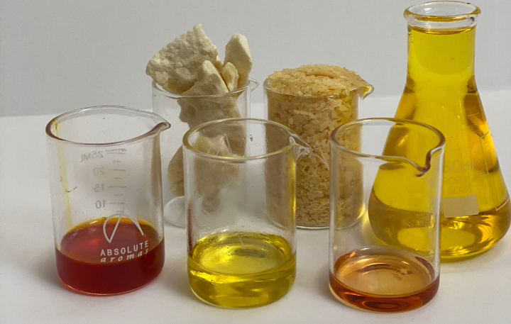 Therapeutic Properties Of Carrier Oils Online Workshop