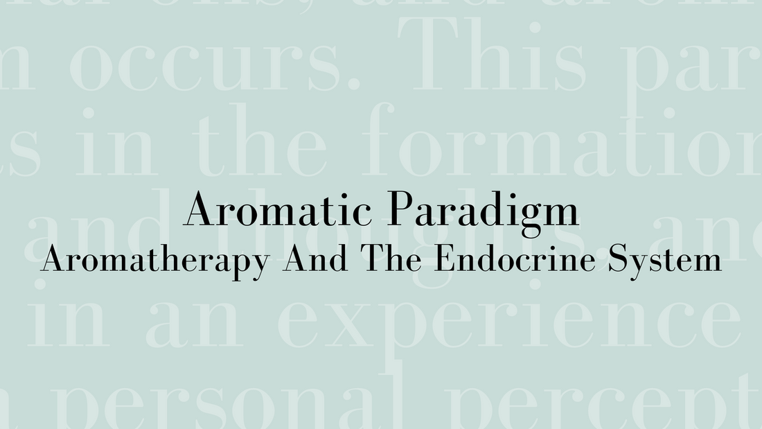 An Aromatic Paradigm - Aromatherapy and the endocrine system!