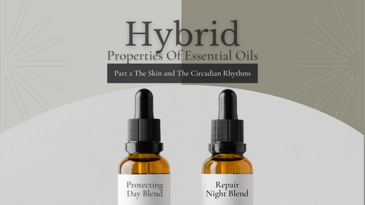 Hybrid Properties of Essential Oils Part 2 (The Skin and the Circadian Rhythm)