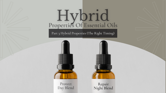 Hybrid Properties of Essential Oils  Part 3 (The Right Timing with Hybrid Essential Oils)