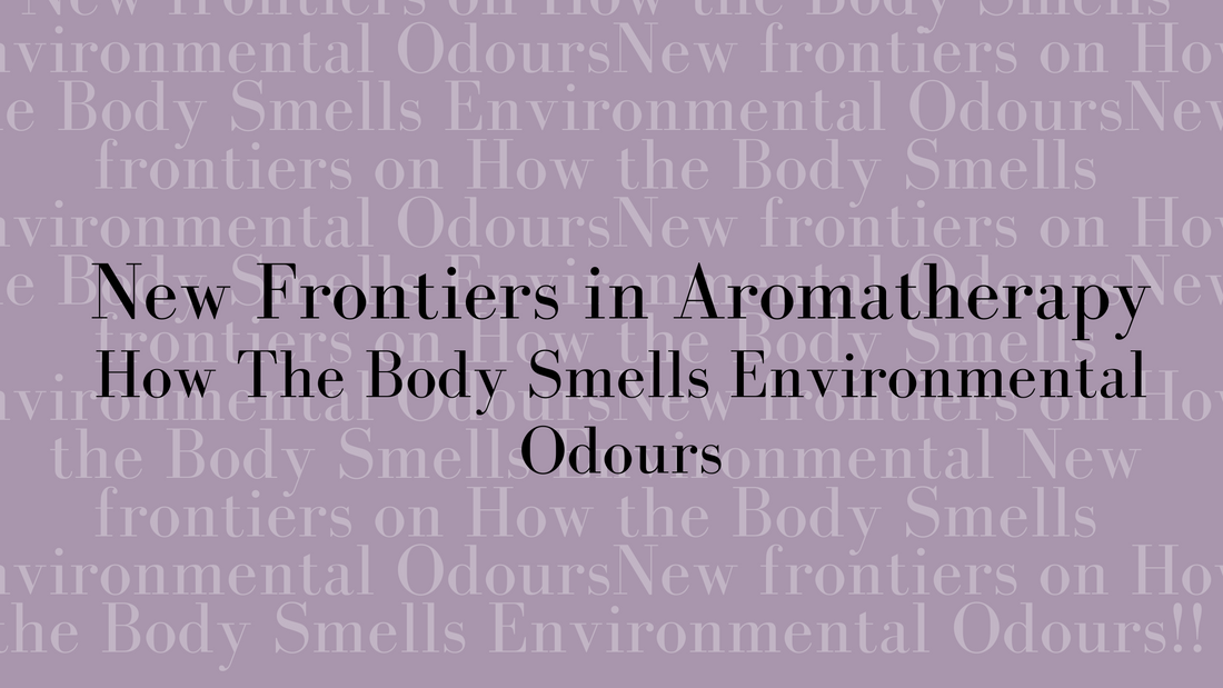New Frontiers on How the Body Smells Environmental Odours!