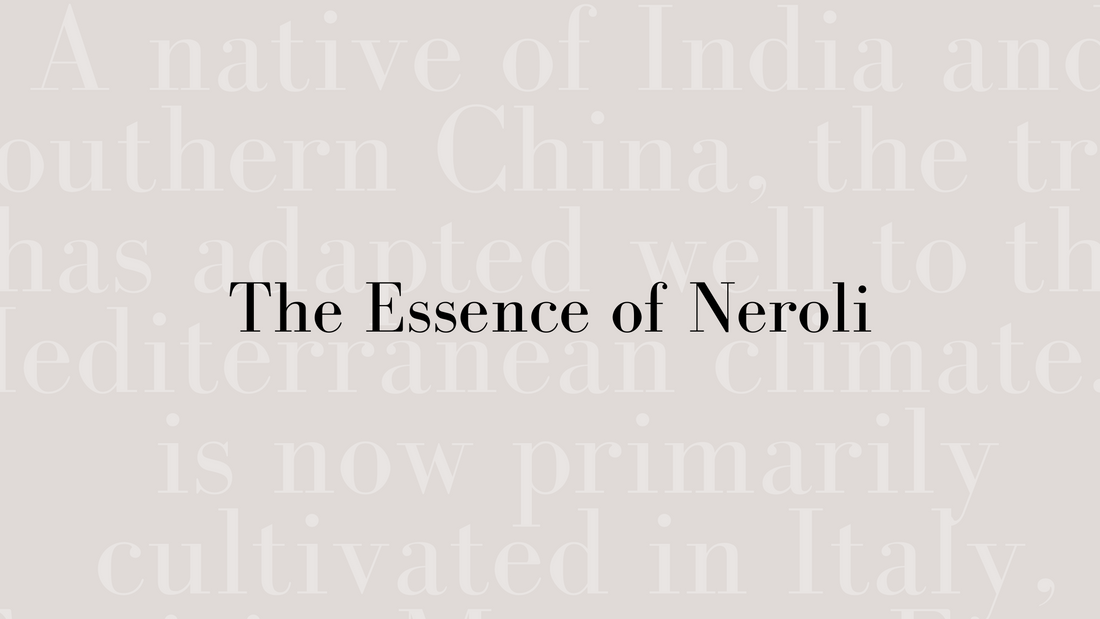 The Essence of Neroli (Orange Blossom)